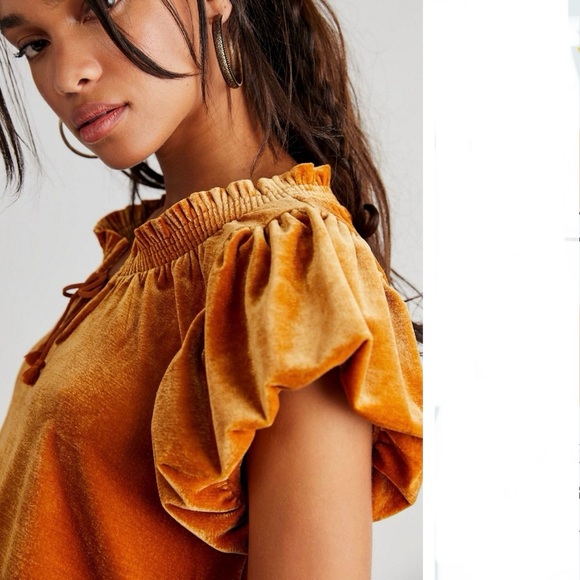 Free Peoplee Terese Velvet top - Picture 3 of 3